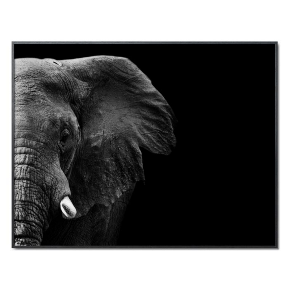 Schöner Wohnen Kollektion Gerahmter Kunstdruck 'Elefant' von WildPhotoArt